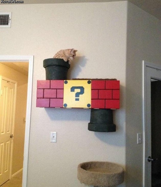 awesome_cat_house.jpg