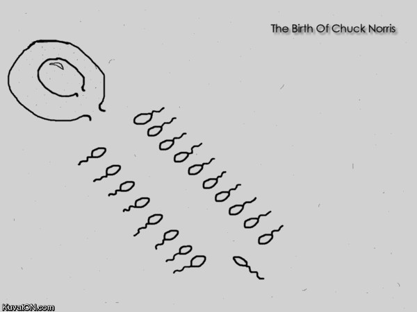 birth_of_chuck_norris.jpg