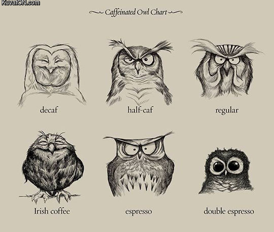 caffeinated_owl_chart.jpg