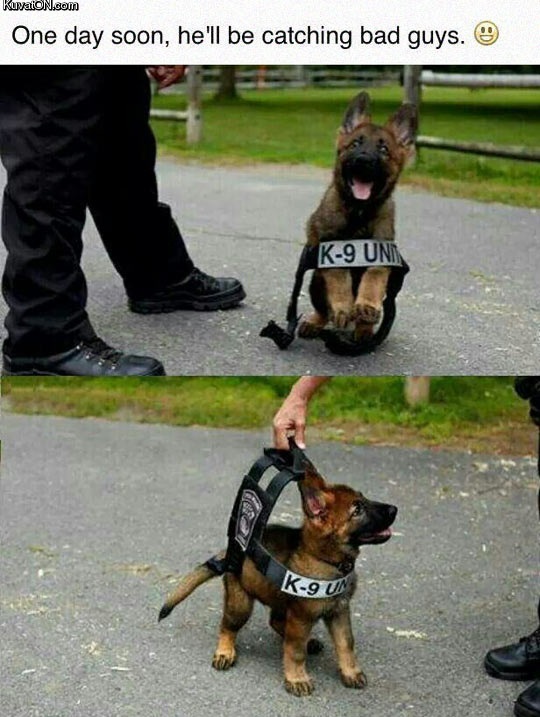 cutest_police_officer_ever.jpg