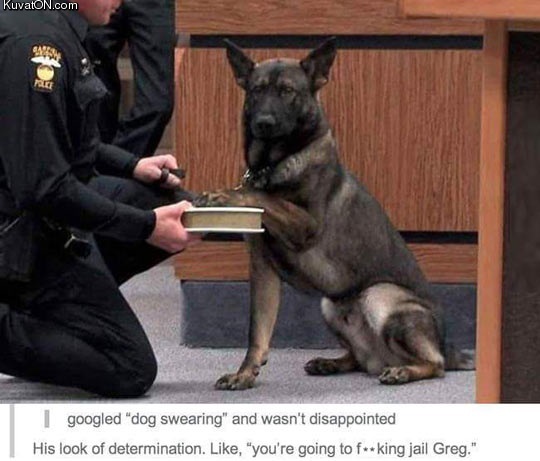 dog_swearing.jpg