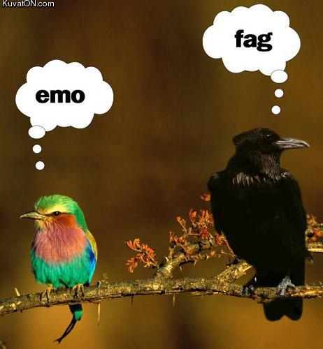 emo_fag_birds.jpg
