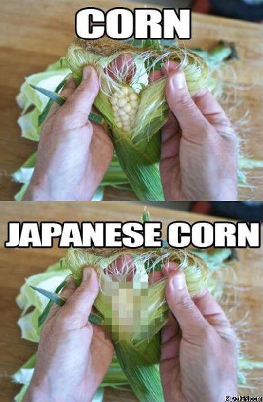 japan_corn.jpg