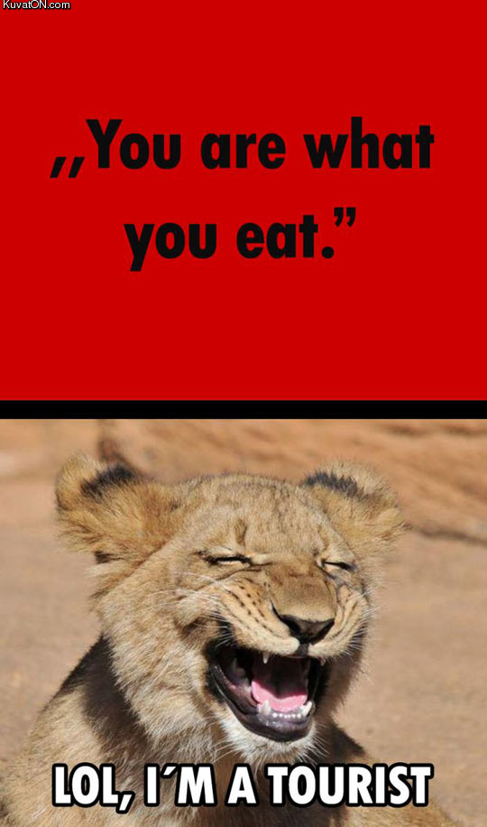 lion_cubs_sense_of_humor.jpg
