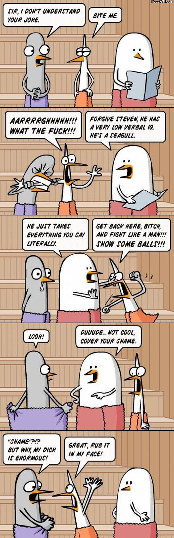 literal_birds_comic.jpg