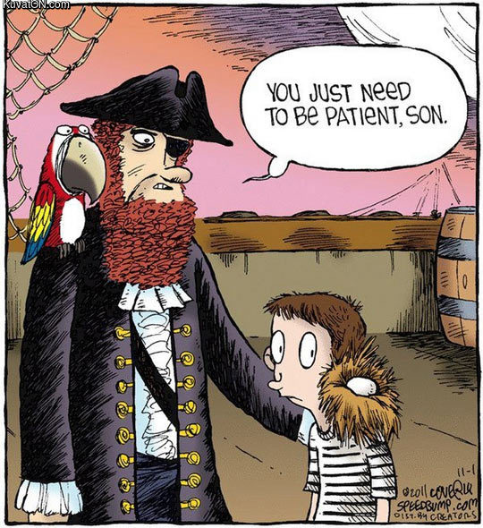 pirate_parrot_kid_egg_comic.jpg