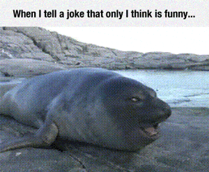 sea_lion_laughing.gif