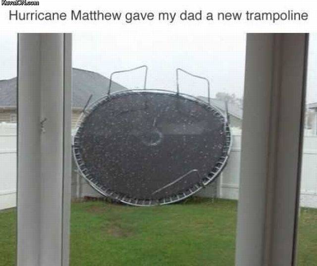 thank_you_hurricane.jpg