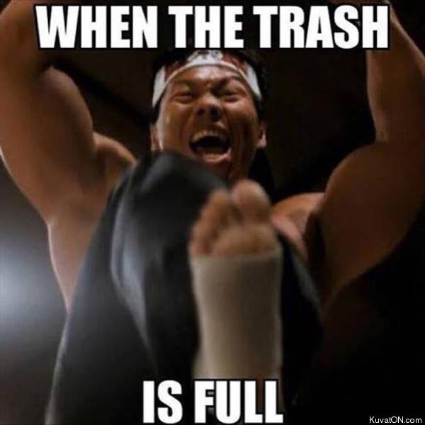 when_the_trash_is_full.jpg