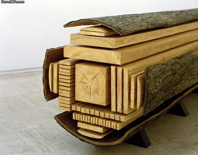 where_various_cuts_of_lumber_are_sourced_from_a_tree_trunk.jpg