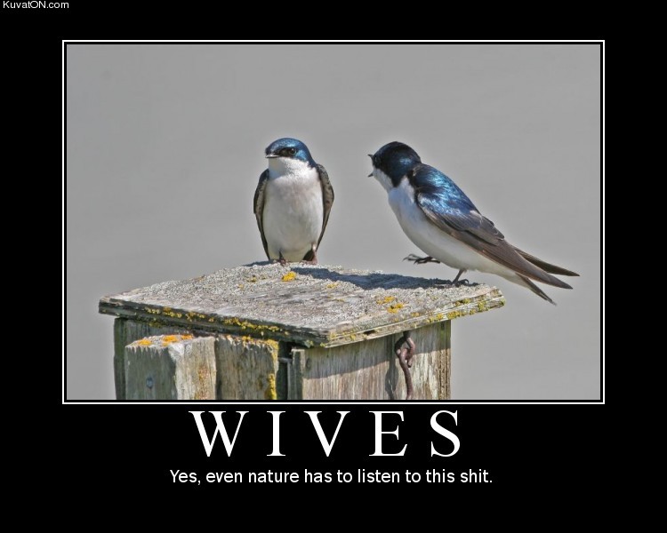 image: wives