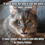 age_test_cat.jpg