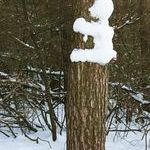 bunny_snow_art.jpg