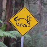 caution_strange_creatures_sign.jpg