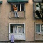 extreme_cleaning_windows.jpg