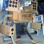 mad_cat.jpg