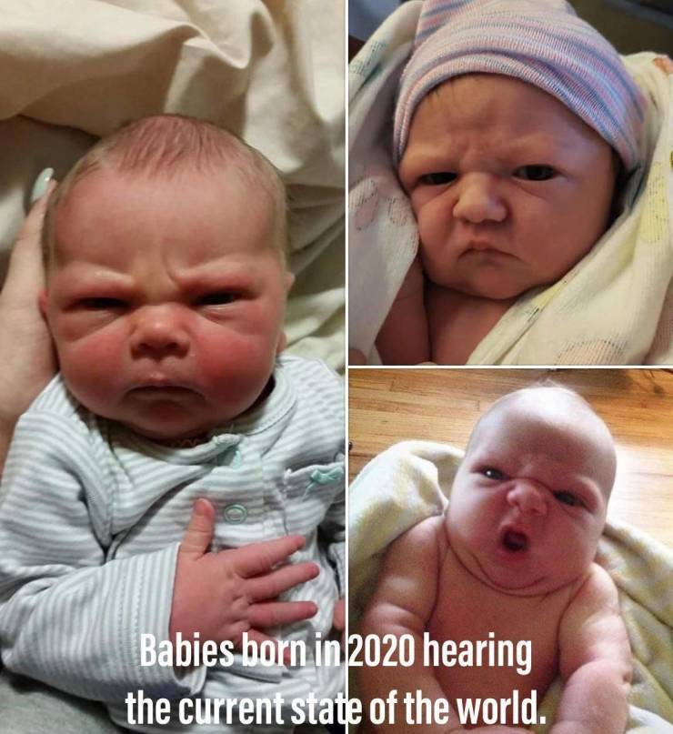 2020babies.jpg