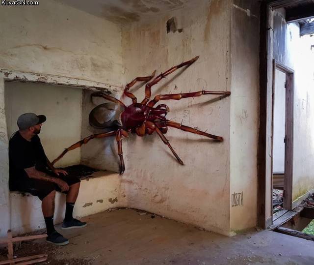 3dspider.jpg