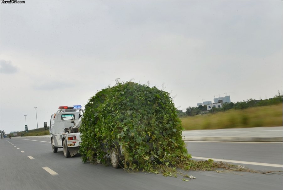 abandoned_car.jpg