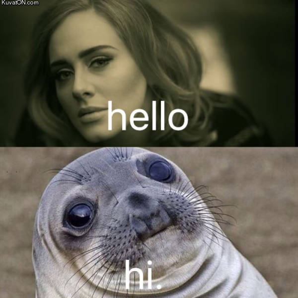 adele_2.jpg