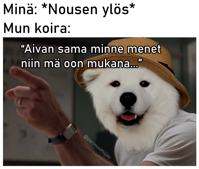 aina_mukana.jpg