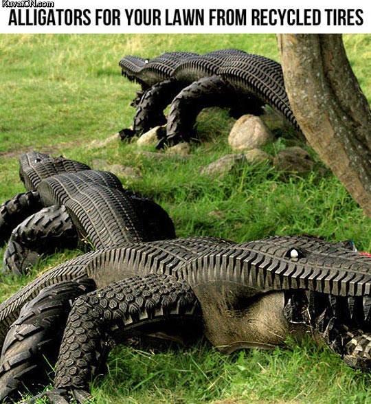 alligators.jpg