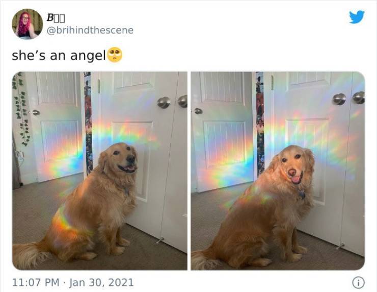 angel3.jpg