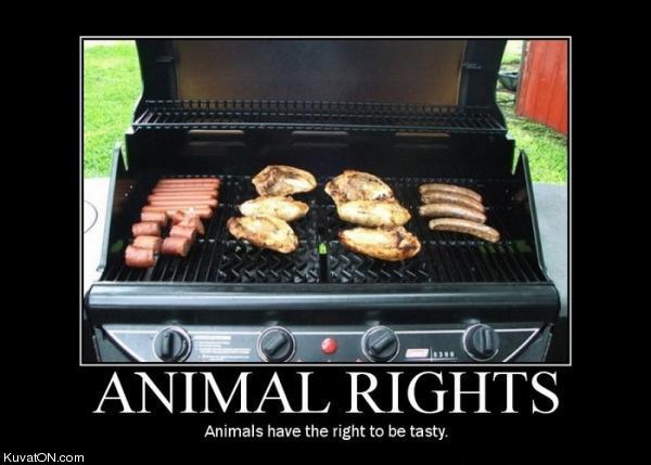 animal_rights.jpg