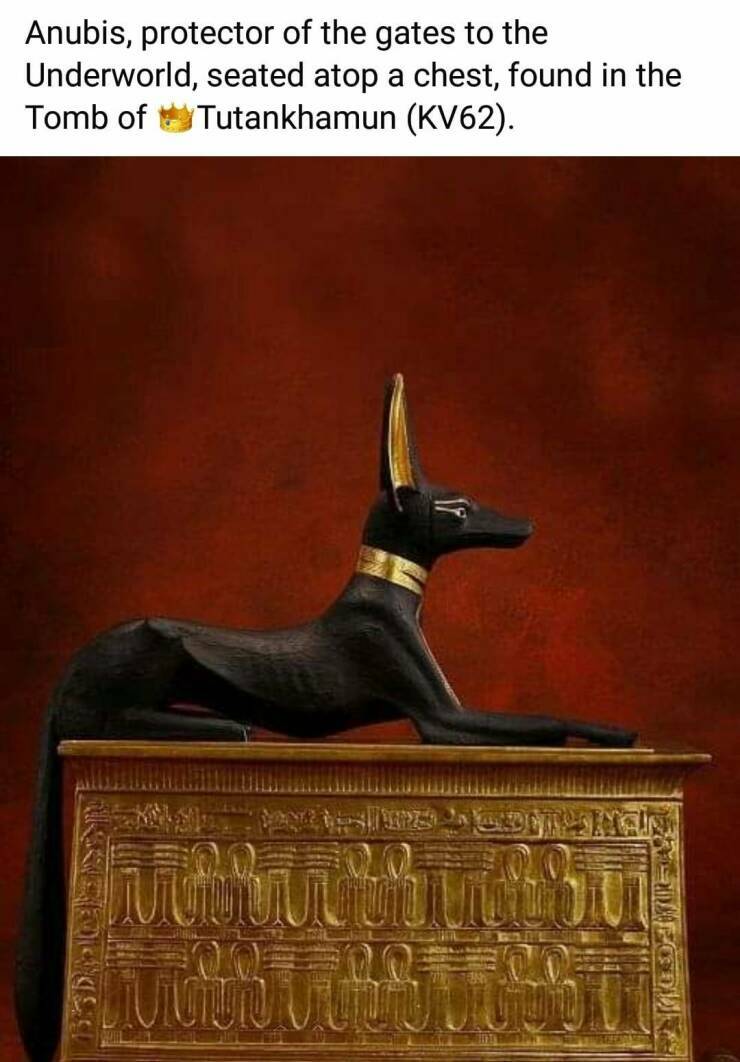 anubis.jpg