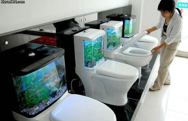 aquarium_toilet.jpg