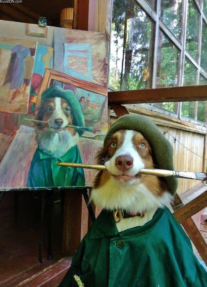 artdoge3.jpg