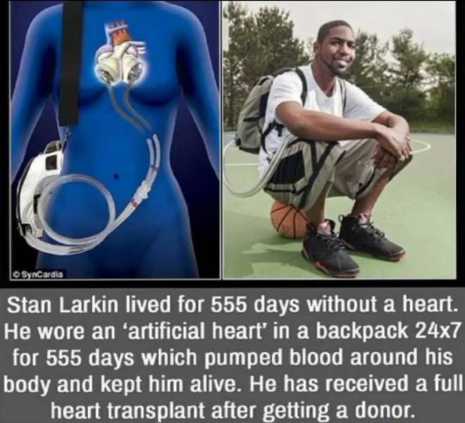 artificialheart.jpg