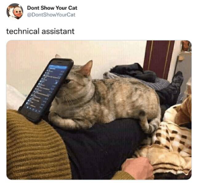 assistant.jpg