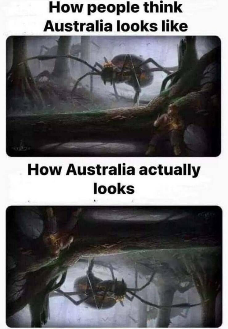 australia3.jpg