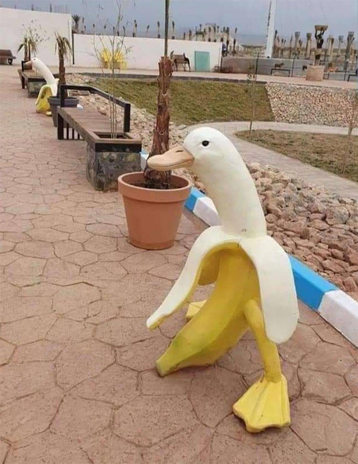 bananaduck.jpg