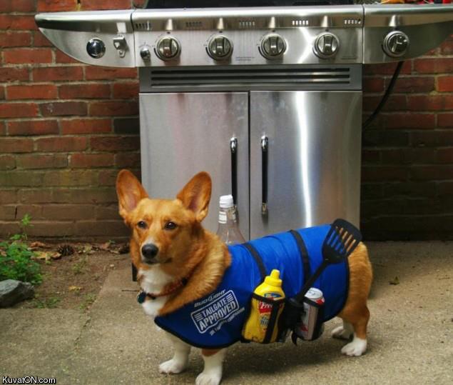 bbq_helper_dog.jpg