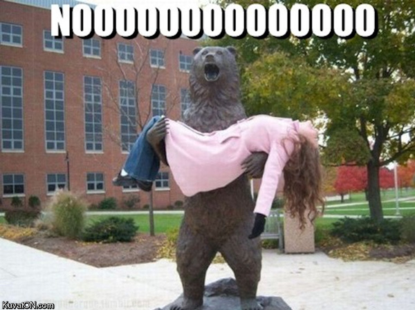 bear_statue.jpg