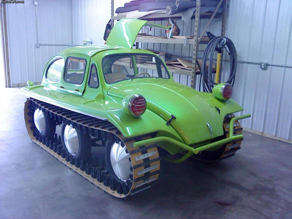 beetle3.jpg