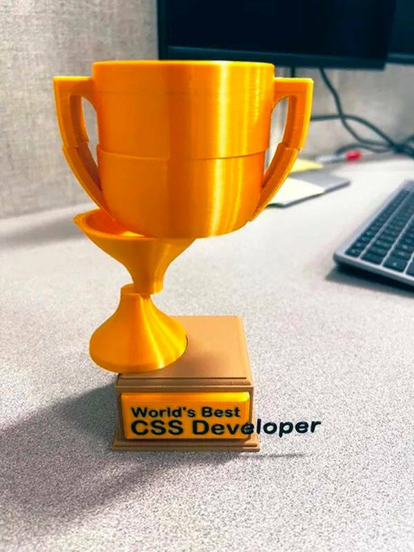 best_css_developer.jpg