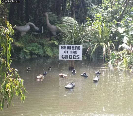 beware_of_the_crocs.jpg