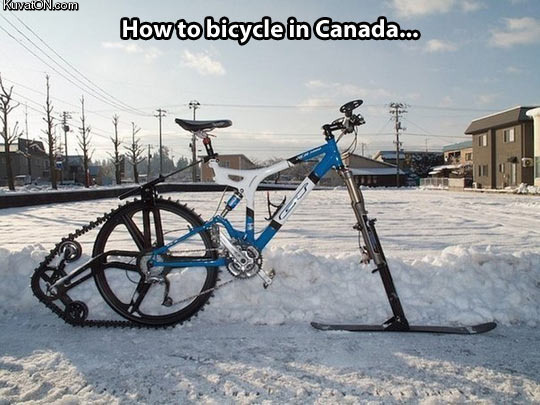 bicycles_in_canada.jpg