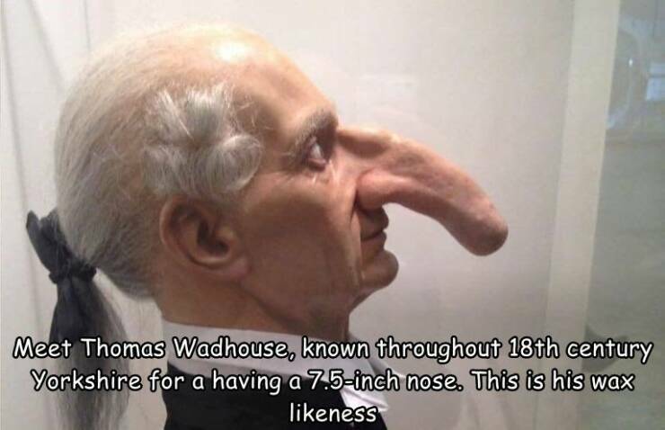 bignose.jpg