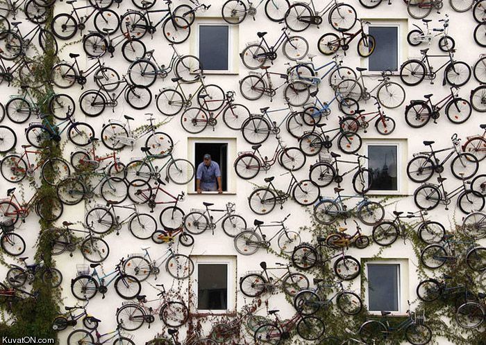 bikes4.jpg