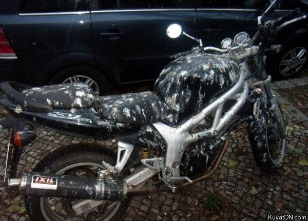 bird_motorbike_failure.jpg