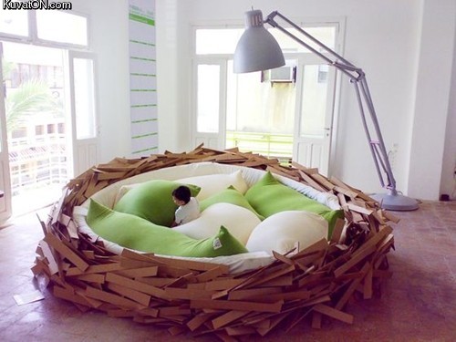 birds_nest_bed.jpg