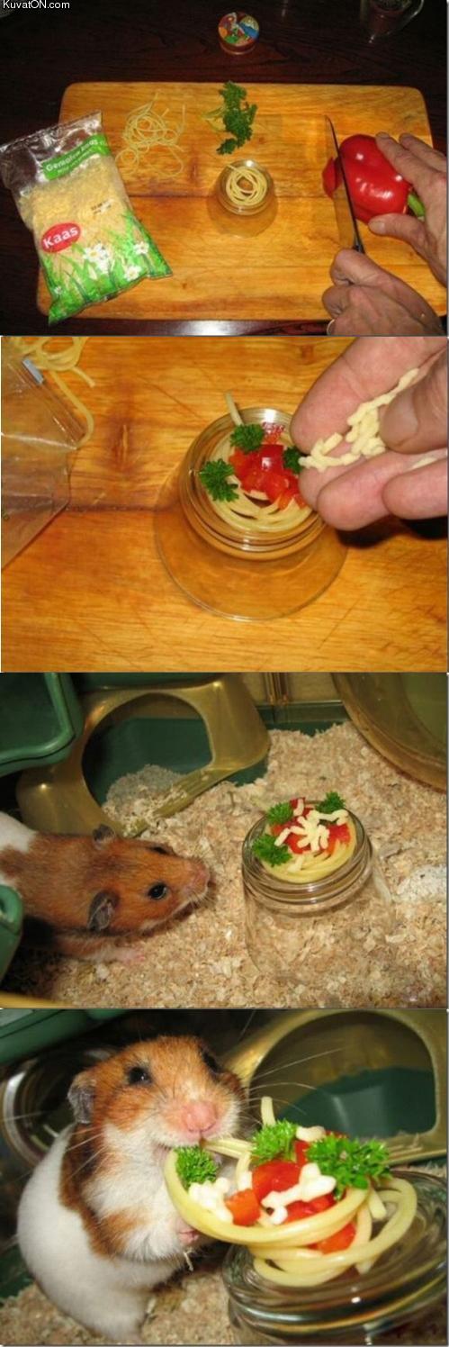 birthday_hamster.jpg