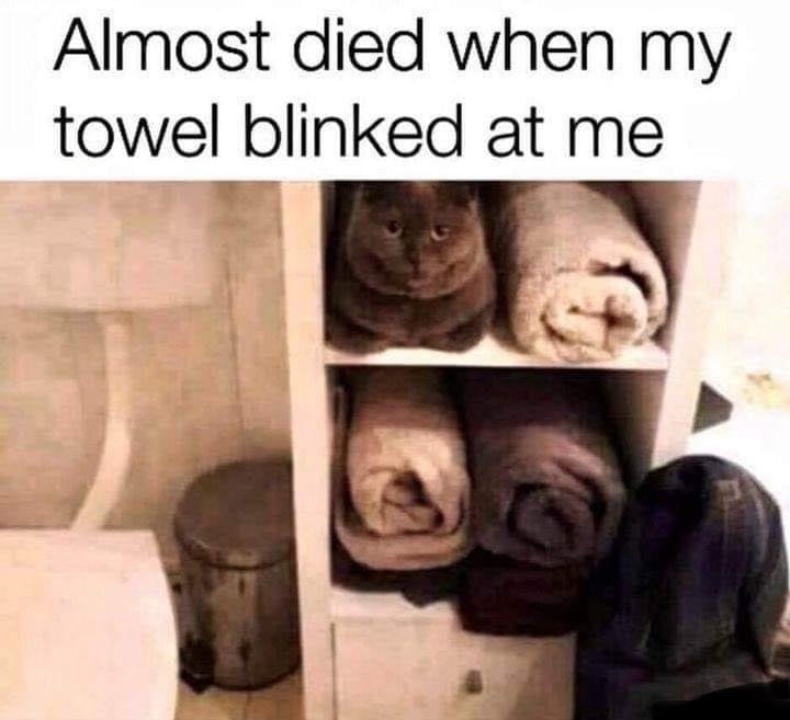 blinded_towel.jpg