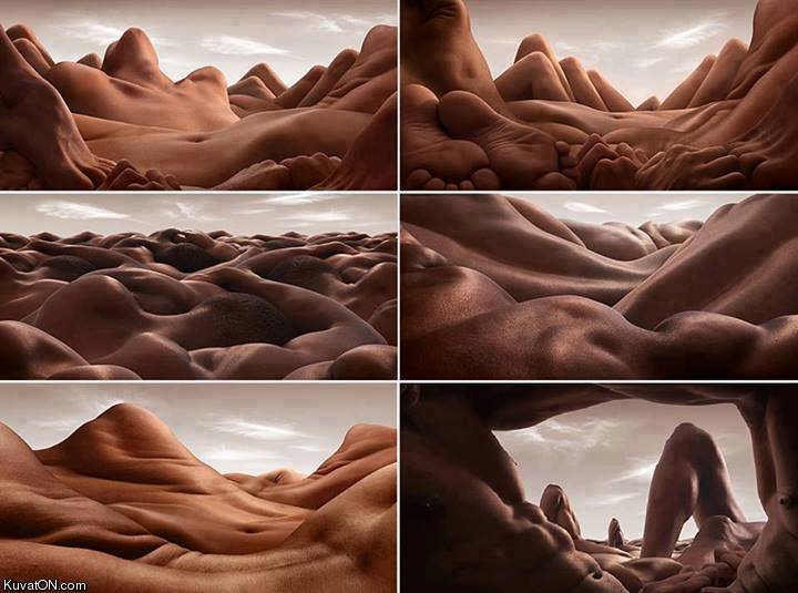 body_landscapes_by_carl_warner.jpg