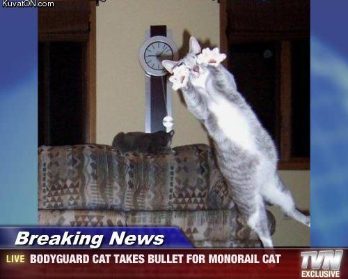 bodyguard_cat_breaking_news.jpg