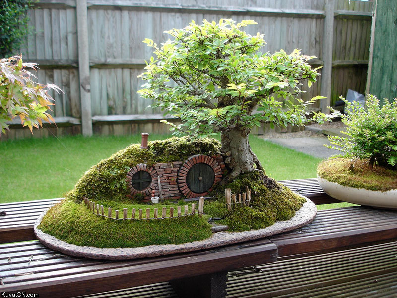 bonsai_hobbit_home.jpg